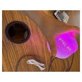 Stitch & Angel 3D Lamp with Remote Nighlight