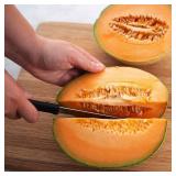 Rada Cutlery 7 in. L Stainless Steel SERRATED Slicer Knife 1 pc