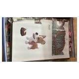 BDYDT Animal Corgi Dog and Food Micro Building Blocks Set?1860PCS? Gift for Adults and Kids