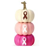 3 Pcs Artificial Pumpkin Breast Cancer Awareness Decoration Stackable Artificial Foam Pumpkin with Pink Ribbon Pattern forThanksgiving Day Table Decorations (Rose Pink?4 inches) (Rose red,pink,white)