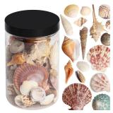 HAPY SHOP Mixed Sea Shells 250 g Shells Various Size up to 2.5 in Seashells Bulk with Box Shells for Crafts,Tank Vase Filler,Beach Theme Party,Home Decor,Resin Decoration(60-70 pcs)