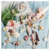 HAPY SHOP Mixed Sea Shells 250 g Shells Various Size up to 2.5 in Seashells Bulk with Box Shells for Crafts,Tank Vase Filler,Beach Theme Party,Home Decor,Resin Decoration(60-70 pcs)