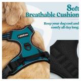 rabbitgoo Dog Harness No Pull with 2 Leash Clips, Adjustable Soft Padded, Reflective Oxford No Choke Pet Vest with Easy Control Handle for Large Dogs, Blue Coral, XL