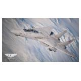 BANDAI NAMCO Entertainment Ace Combat 7: Skies Unknown Top Gun Maverick Edition (PS4)