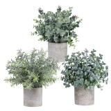 Winlyn Set of 3 Mini Potted Artificial Eucalyptus Plants Plastic Fake Green Rosemary Plant for Home Decor Office Desk Shower Room Decoration