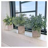Winlyn Set of 3 Mini Potted Artificial Eucalyptus Plants Plastic Fake Green Rosemary Plant for Home Decor Office Desk Shower Room Decoration