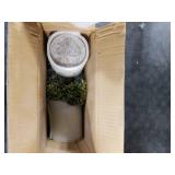 Winlyn Set of 3 Mini Potted Artificial Eucalyptus Plants Plastic Fake Green Rosemary Plant for Home Decor Office Desk Shower Room Decoration