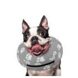 Super Inflatable Dog Cone