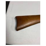 Ruger 10-22 .22 LR semi-auto rifle with Laser Max laser