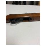 Ruger 10-22 .22 LR semi-auto rifle with Laser Max laser