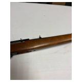 Ruger 10-22 .22 LR semi-auto rifle with Laser Max laser