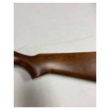 Ruger 10-22 .22 LR semi-auto rifle with Laser Max laser