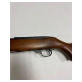 Ruger 10-22 .22 LR semi-auto rifle with Laser Max laser