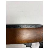 Ruger 10-22 .22 LR semi-auto rifle with Laser Max laser