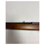 Ruger 10-22 .22 LR semi-auto rifle with Laser Max laser