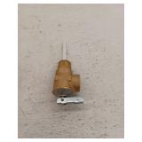 Automatic Temperature and Pressure Relief Valve
