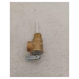 Automatic Temperature and Pressure Relief Valve