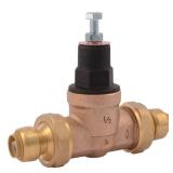 Reliance Worldwide 0.5 in. Cash Acme Pressure Reg SB Valve