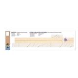 Oro Quartz End Cap Kit with Ora Eased Edge with Loose Backsplash