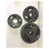 CAP TWO 5 LBS TWO 10 LBS AND TWO 25 LBS WEIGHTS