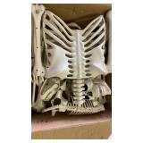 Anatomical Human Skeleton Model - Retail: $19