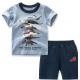 Toddler Boy Summer Clothes 2T Boys Short Sets Boys Summer Outfits 2T Short Sleeve T-Shirt and Shorts Set Blue Dinosaur 2T