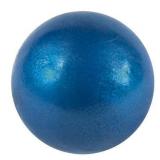 CHAMPRO Cast Iron Shot Put  4kg (8.8lb)