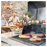 BQMAX Grill Emitter Grill Grates for Charbroil Tru-Infrared 2 Burner 466642416 463644220 463632320 463642316, Stainless Steel Emitter for Charbroil Replacement Parts for Char broil G362-0008-W1