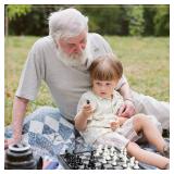 Chess Armory Magnetic 9.5 Inches Travel Chess Set - Folding Board with Storage Box & 2 Extra Queen.