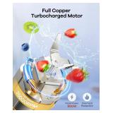 Ganiza Blender for Smoothies, 14Pcs Personal Blender for Shake and Smoothies for Kitchen with 3 Portable Cups (1x24oz & 2X17oz), Single Serve Smoothie Maker, Nutritious Recipe