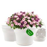 Pottiffe 8 Inch Plastic-Flower Pot-for-Indoor Plants, 4 Pack Large Outdoor Planter Pot with Drainage Holes & Saucers, Resin Decorative Garden Pots Planters