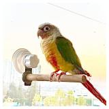 Bird Window/Bath/Car/Travel Perch Stand with Suction Cup for Small and Medium Bird Parrot Parakeet Cockatiel Conure Budgie Lovebirds (Simple Wood Perch)