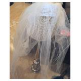 Cathedral Length Lace Trim Wedding Veil