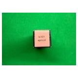 Frankie Rose Long Lasting Lipstick for Women | Smudge Proof Lipstick Enriched with Jojoba Oil | Buildable Lip Colors, Suitable For All Skin Tones | Cruelty-Free Lip Makeup | Apricot - Retail: $18