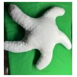 2PieceDecorative White Shell Starfish and Seashell Pillow Set - Retail: $25