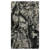Black Area Rugs 9x12 Living Room, Large Fluffy Rugs for Bedroom, Soft Carpet Shag Kids Room Rug, Non-Slip Fuzzy Rugs Indoor (9ft x 12ft, Black)