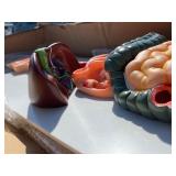 JNMFTD Human Digestive System Anatomy Model,Life Size 2 part Removable Stomach Nasal cavity Pharynx Liver Stomach Rectum Intestine for Medical Education Study