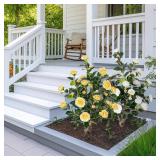 2 pcs Pack Artificial Camellia Tree with White Planter - 39 inch Tall Fake Tree,3.2 Ft Artificial Plants Indoor & Outdoor Housewarming Gift