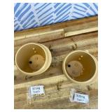 Cute Flower Pots, 2 Pack Smile Face Plant Pots, 3.5 Inch Plastic Succulent Pots with Drainage, Unique Indoor Planter for Violets/Herbs, Funny Sitting Pot for Plant Lover Gift (Beige)