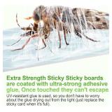 Fly Trap Indoor, Fruit Fly Traps for Indoors, 2 Devices 12 Glue Cards