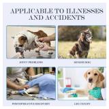 Dog Lift Harness, Full Body Support with Adjustable Control Handle for Large Senior Dogs, Post-Surgery Recovery & Joint Problems (Oxford Cloth, XL)