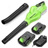 Cordless Leaf Blower - Lightweight Electric Blower with 2 Batteries & Charger - 20V Battery Powered Small Handheld Blower for Lawn Care Green (no charger)