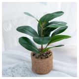 Ewtogift Indoor Artificial Plant 10\" Green Faux Silk Plants Small Fake Plant with Realistic Trunk and Elegant Planter for Office Table House Home Bathroom Shelf Living Room Desk Decoration