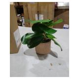 Ewtogift Indoor Artificial Plant 10\" Green Faux Silk Plants Small Fake Plant with Realistic Trunk and Elegant Planter for Office Table House Home Bathroom Shelf Living Room Desk Decoration