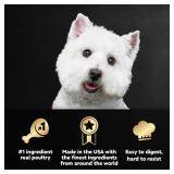 Cesar Wet Dog Food Classic Loaf in Sauce, Duck Recipe, Oven Roasted Chicken Flavor, Grilled Chicken Flavor, and Turkey Flavor, 3.5 oz. Easy Peel Trays, Variety Pack 24 Count (Pack of 1)