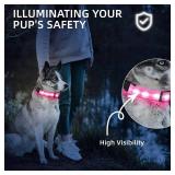Super Bright LED Dog Collar - Fully Waterproof & Adjustable Glow Collar - USB-C Rechargeable for Night Walking, Safety - Flashing Lighted Collar for Dogs(Pink,L)