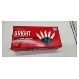 300 Clear Christmas Lights Set - Indoor/Outdoor - Retail: $15