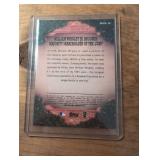 Greg Maddux Chicago Cubs Baseball Cards Collection