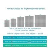 Waowoo Adult Weighted Blanket Queen Size (15lbs 60in x 80in) Heavy Blanket with Premium Glass Beads, (Dark Grey)