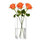 Guluto Acrylic Square Flower Vase, Non-breakable Vase, 4in x 4in x 10in Tall Clear Vases for Flower, Large Cube Floral Plant Container, Planter Terrarium for Wedding Party Event, Home Office Decor